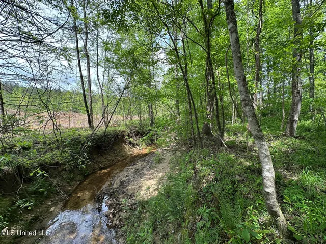 $292,300 | 0 Highway 440, West, MS 39192