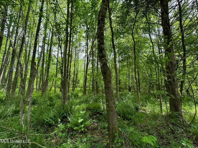 $292,300 | 0 Highway 440, West, MS 39192