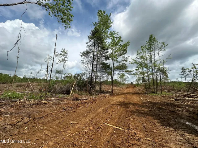 $292,300 | 0 Highway 440, West, MS 39192