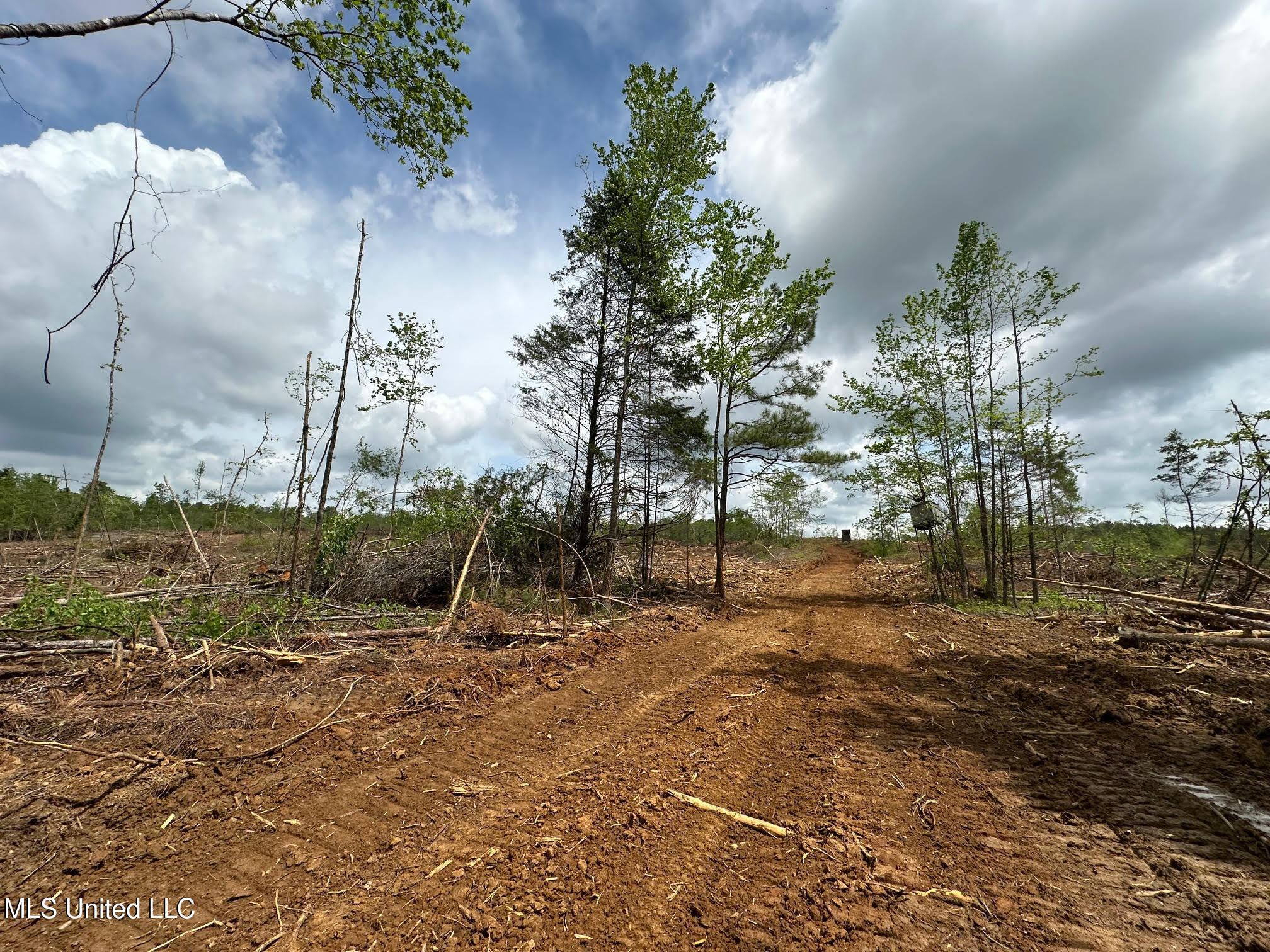 0 Highway 440 West, MS 39192 - Photo 14 of 41 13