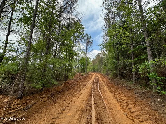 $292,300 | 0 Highway 440, West, MS 39192