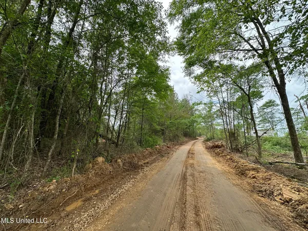 $292,300 | 0 Highway 440, West, MS 39192