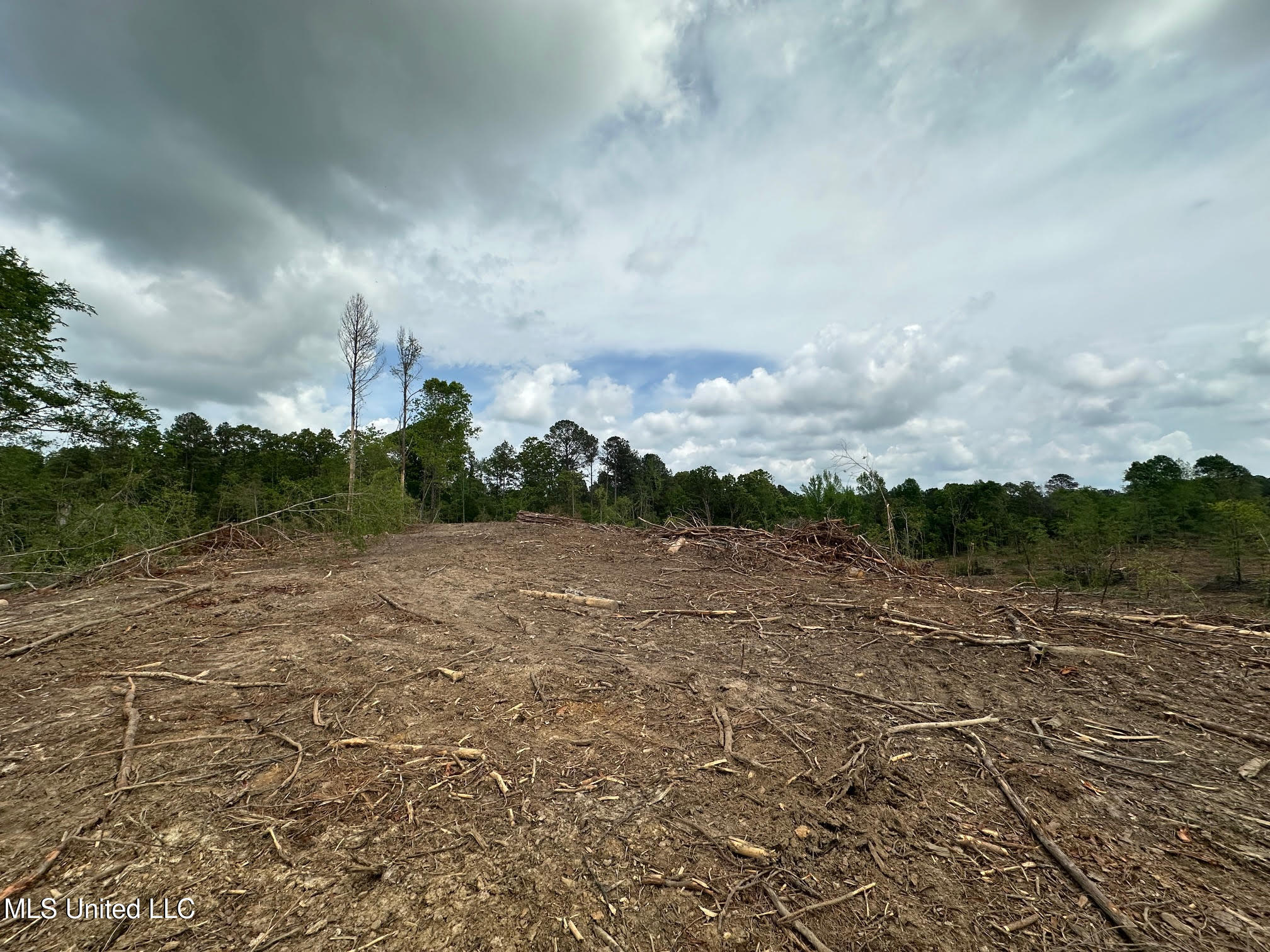 0 Highway 440 West, MS 39192 - Photo 2 of 41 1