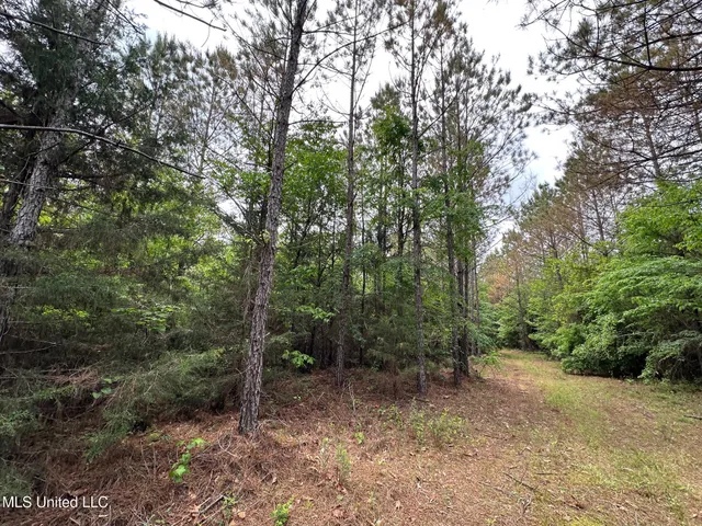 $292,300 | 0 Highway 440, West, MS 39192