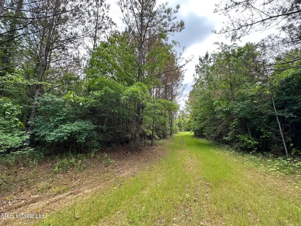 $292,300 | 0 Highway 440, West, MS 39192