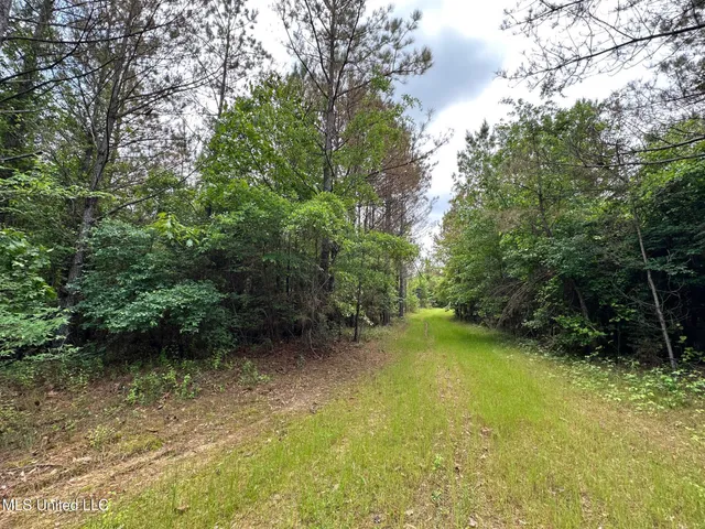 $292,300 | 0 Highway 440, West, MS 39192