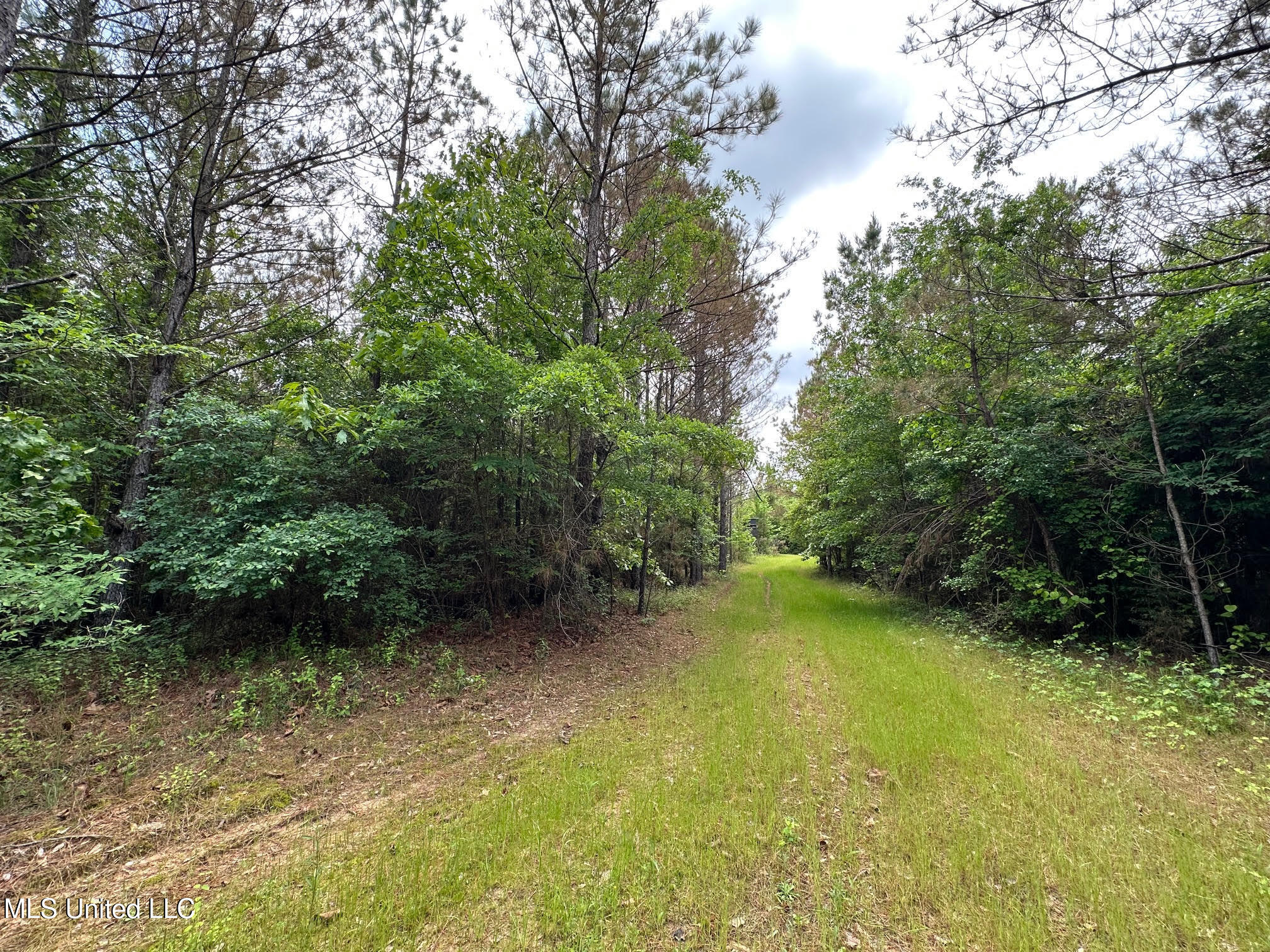 0 Highway 440 West, MS 39192 - Photo 23 of 41 22