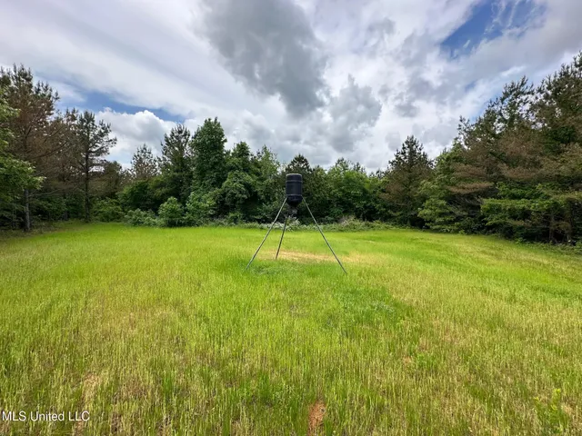 $292,300 | 0 Highway 440, West, MS 39192