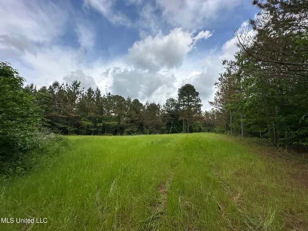 $292,300 | 0 Highway 440, West, MS 39192
