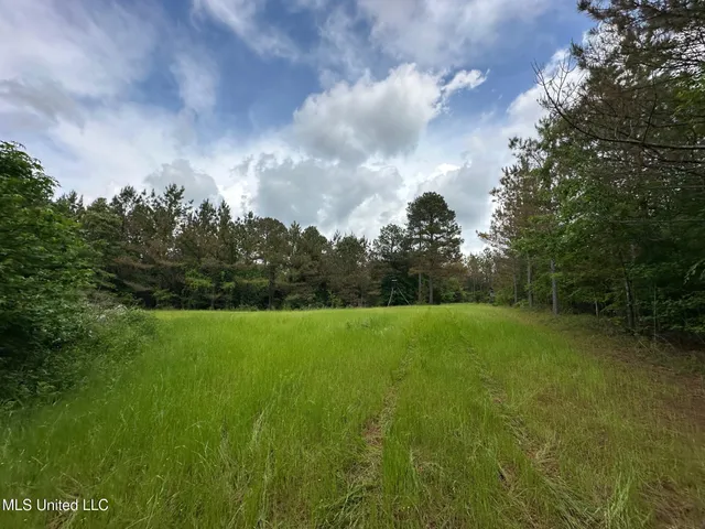 $292,300 | 0 Highway 440, West, MS 39192