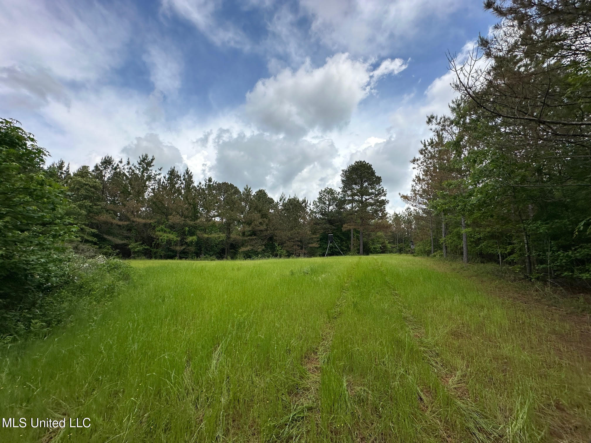 0 Highway 440 West, MS 39192 - Photo 25 of 41 25