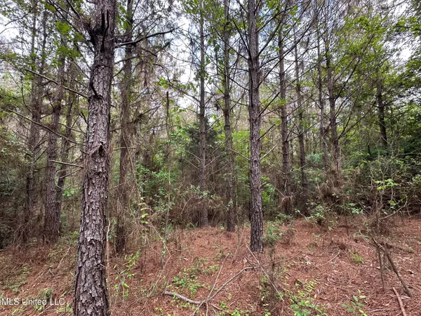 $292,300 | 0 Highway 440, West, MS 39192