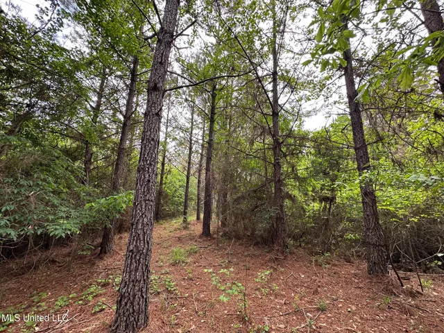 $292,300 | 0 Highway 440, West, MS 39192