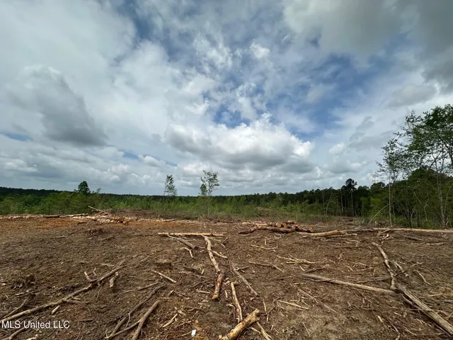 $292,300 | 0 Highway 440, West, MS 39192