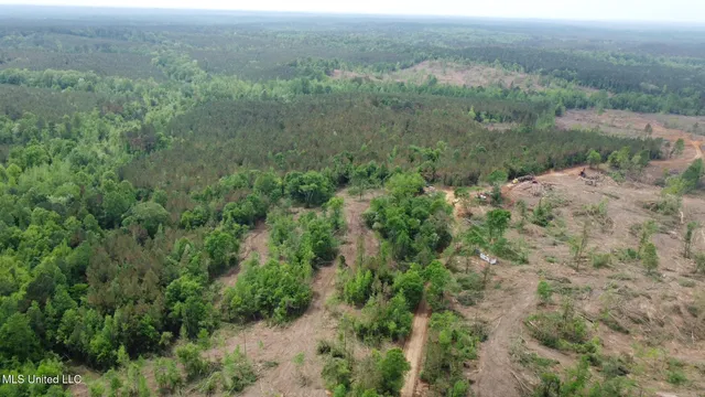 $292,300 | 0 Highway 440, West, MS 39192