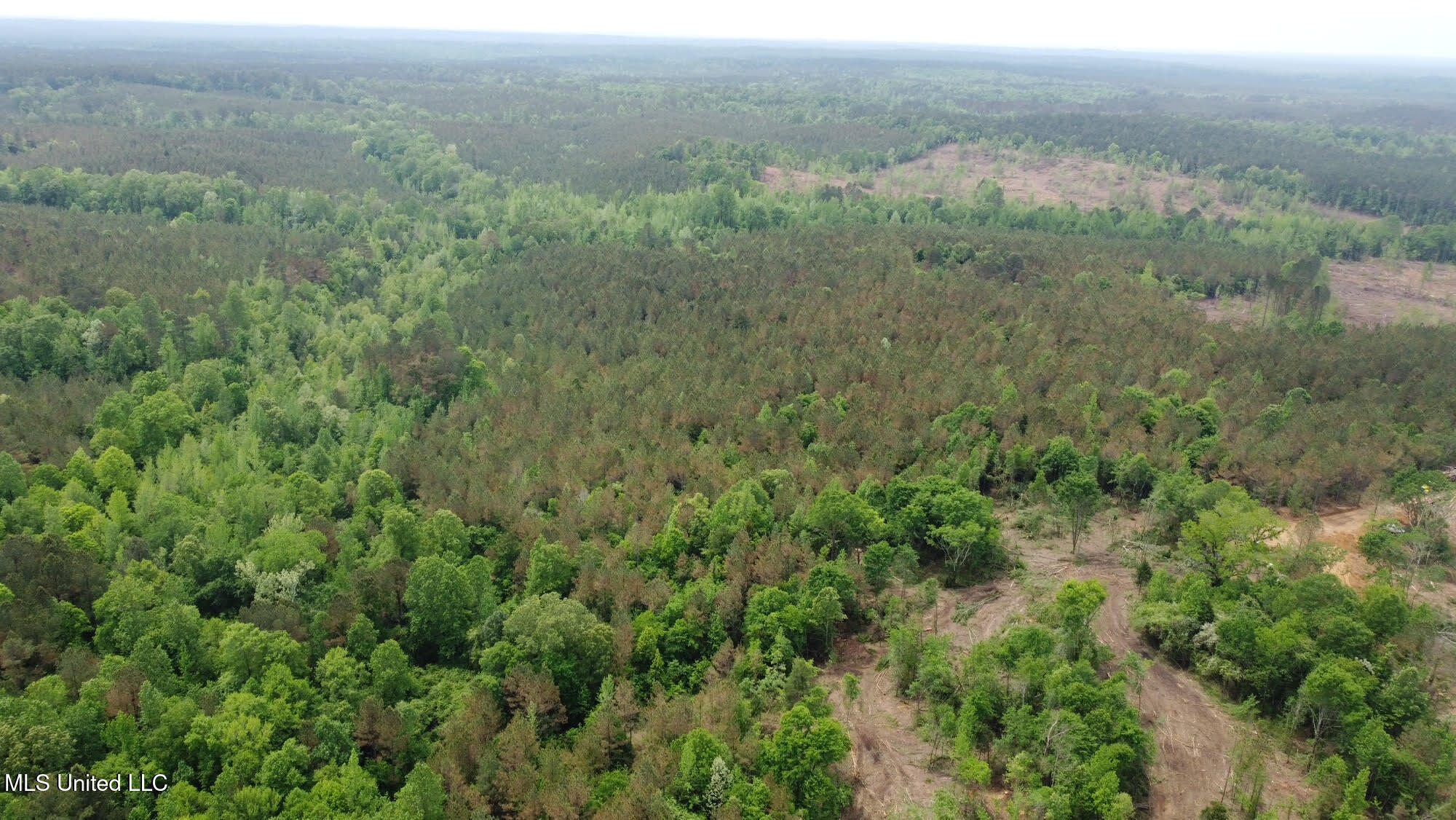 0 Highway 440 West, MS 39192 - Photo 34 of 41 34