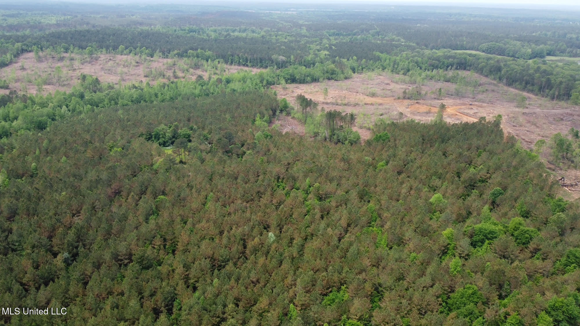 0 Highway 440 West, MS 39192 - Photo 36 of 41 36
