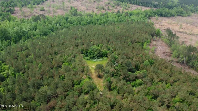 $292,300 | 0 Highway 440, West, MS 39192