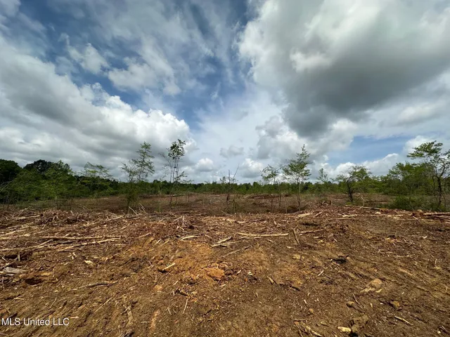 $292,300 | 0 Highway 440, West, MS 39192