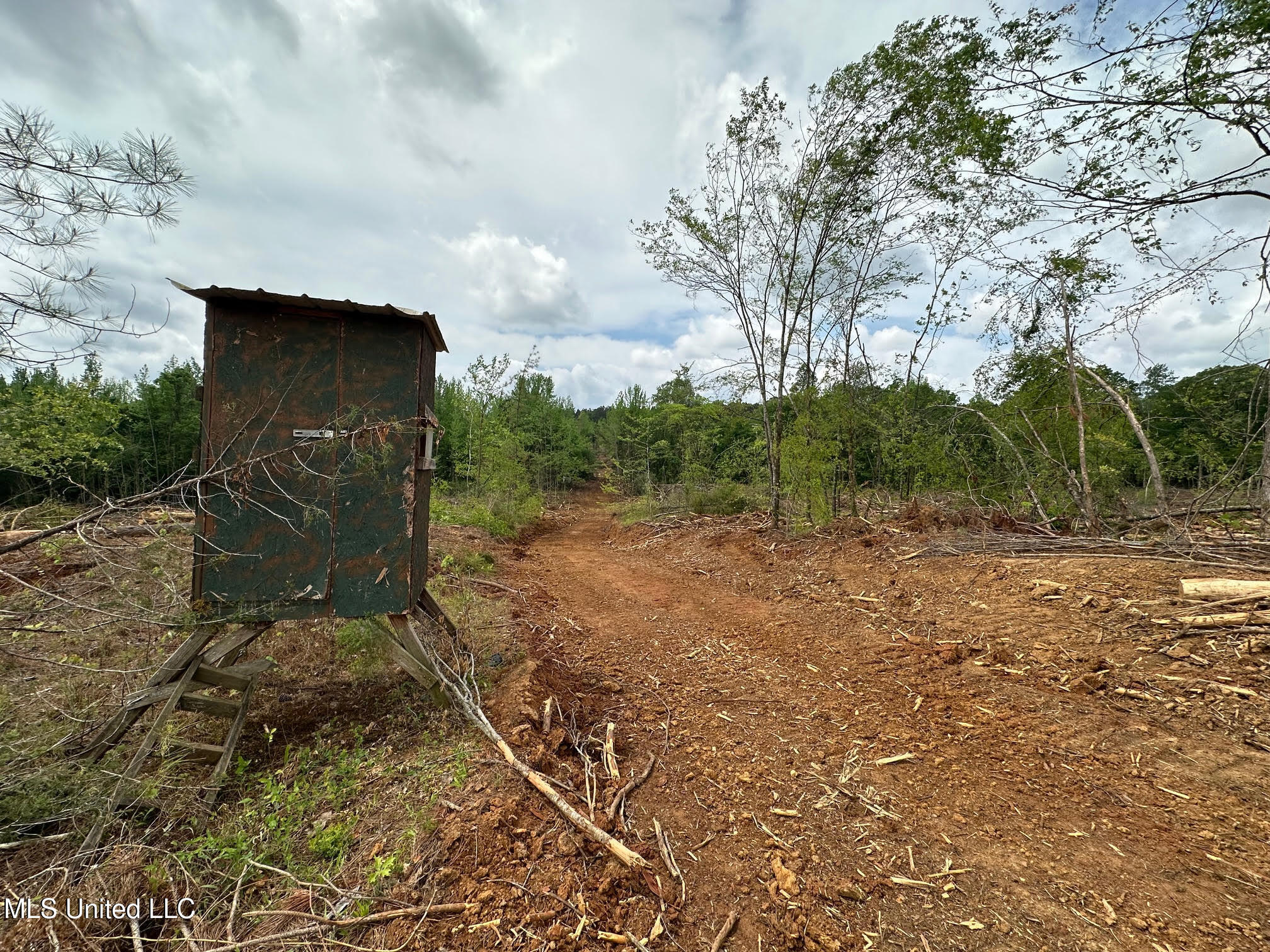 0 Highway 440 West, MS 39192 - Photo 8 of 41 7