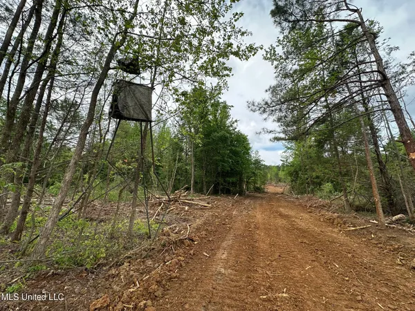 $292,300 | 0 Highway 440, West, MS 39192