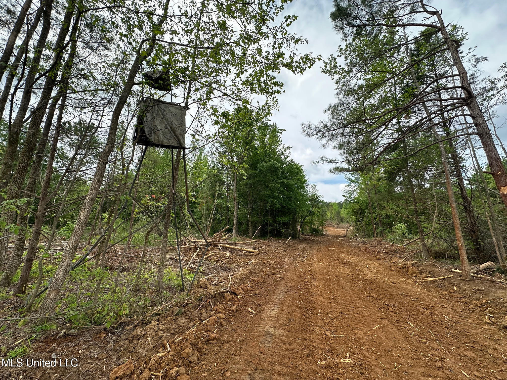 0 Highway 440 West, MS 39192 - Photo 9 of 41 8