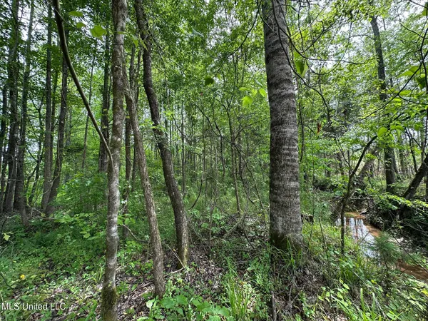 $292,300 | 0 Highway 440, West, MS 39192