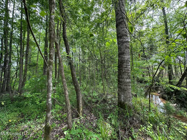 $292,300 | 0 Highway 440, West, MS 39192