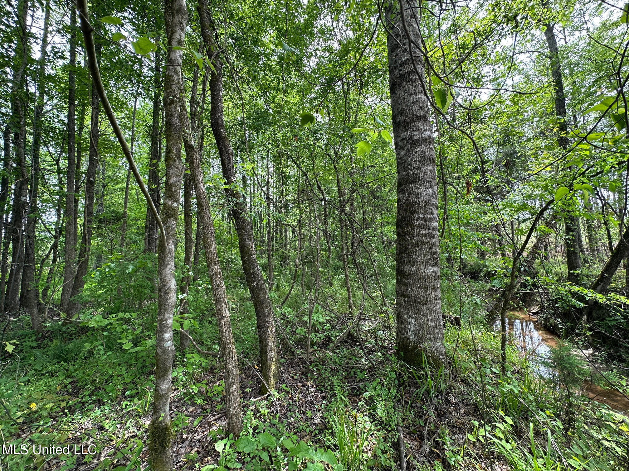 0 Highway 440 West, MS 39192 - Photo 10 of 41 9