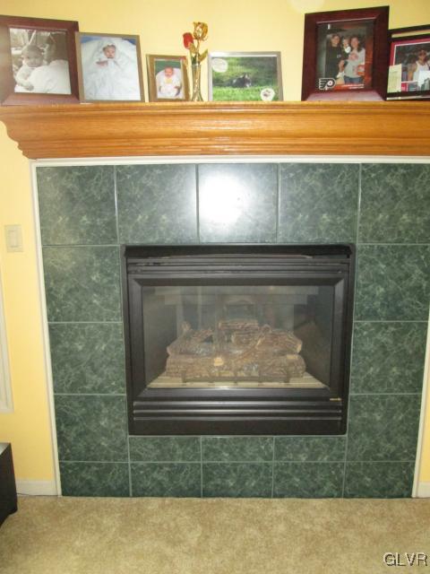 420 Ridge Lane Nazareth, PA 18064 - Photo 15 of 39 Gas fireplace in the family room is surrounded by