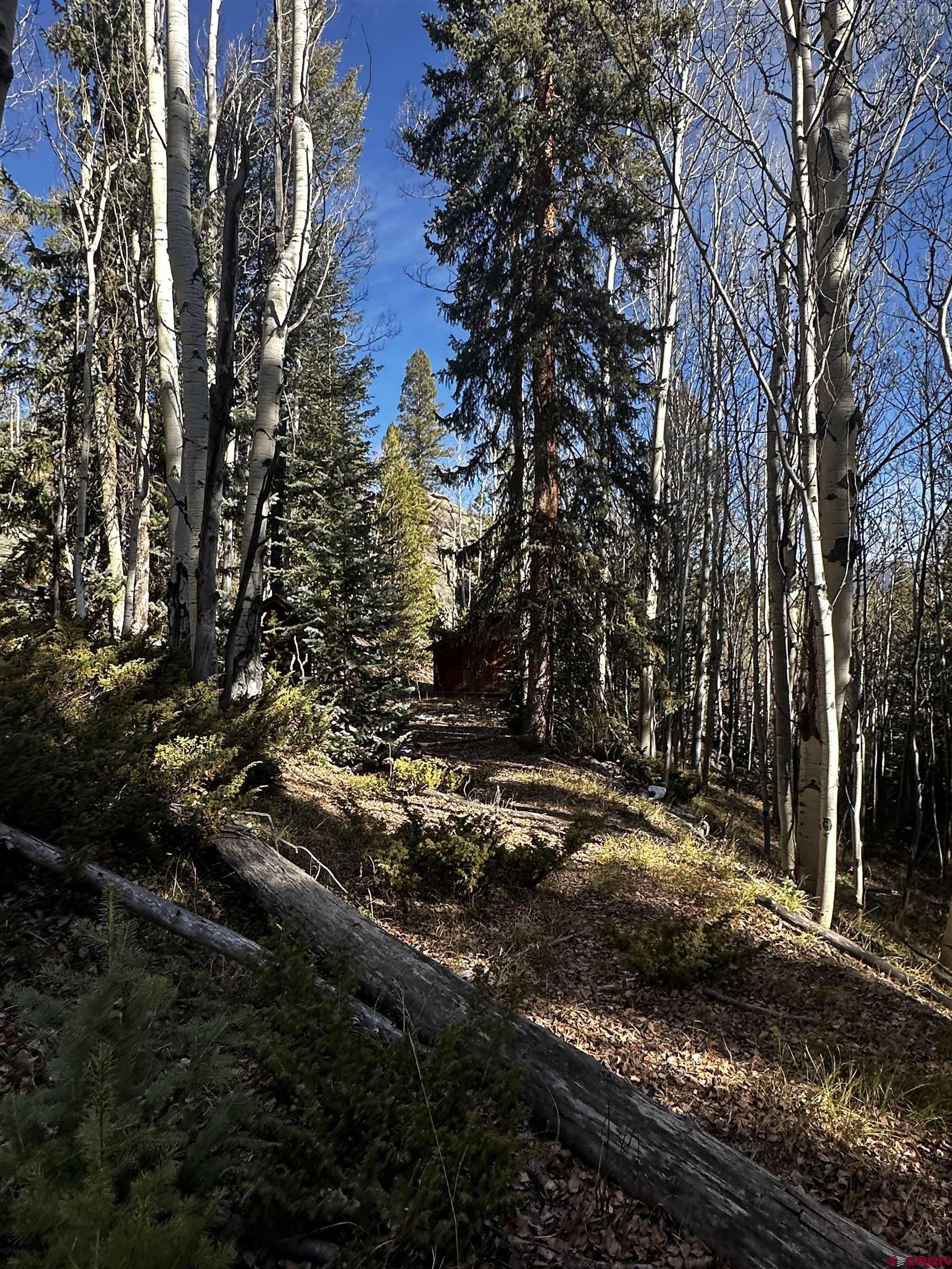 70 Alamanda Lane Pitkin, CO 81241 - Photo 13 of 28