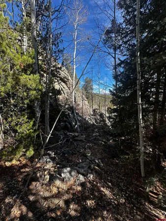 $62,500 | 70 Alamanda Lane, Pitkin, CO 81241