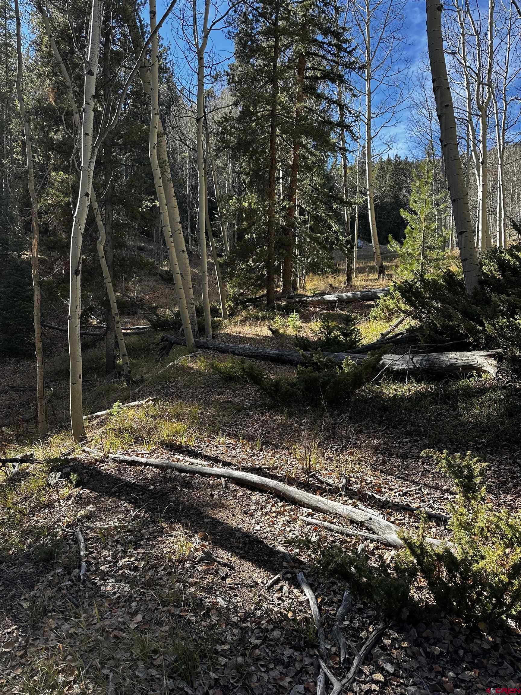 70 Alamanda Lane Pitkin, CO 81241 - Photo 14 of 28 a view of a yard with of trees