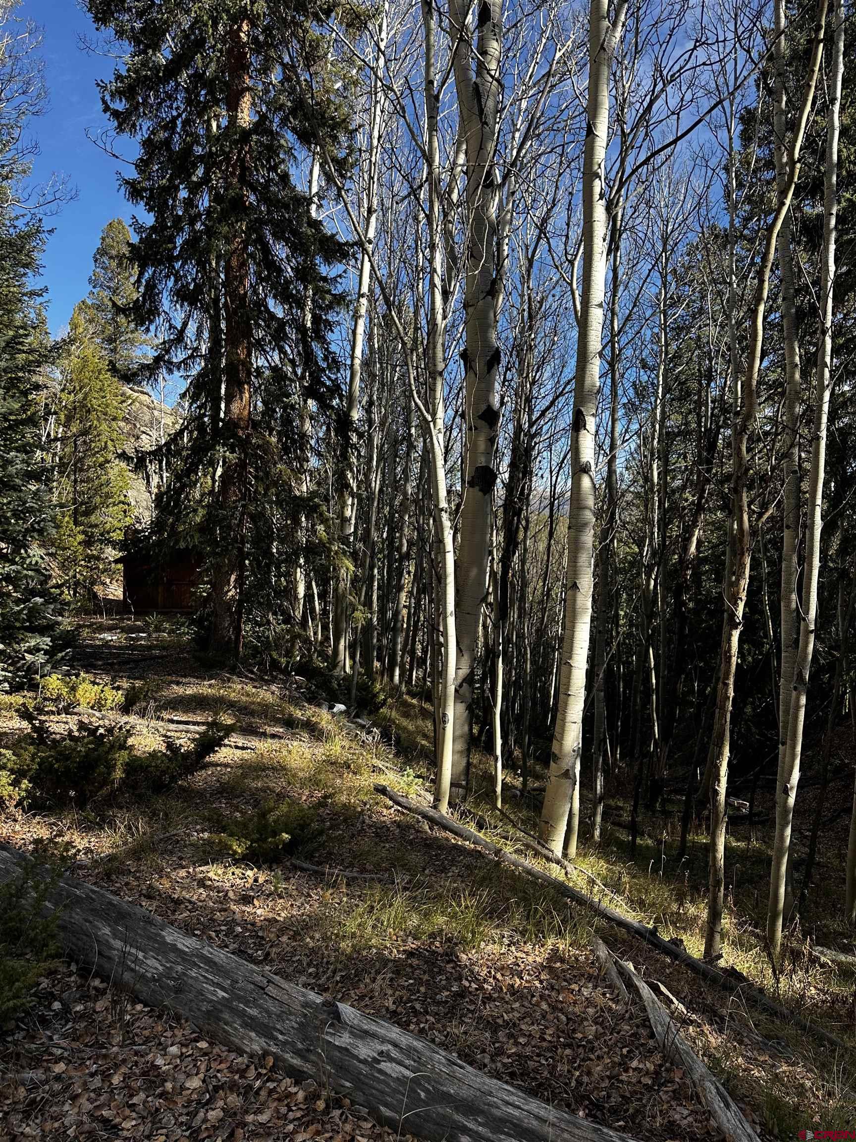 70 Alamanda Lane Pitkin, CO 81241 - Photo 15 of 28