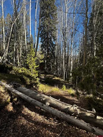 $62,500 | 70 Alamanda Lane, Pitkin, CO 81241