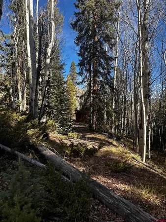 $62,500 | 70 Alamanda Lane, Pitkin, CO 81241