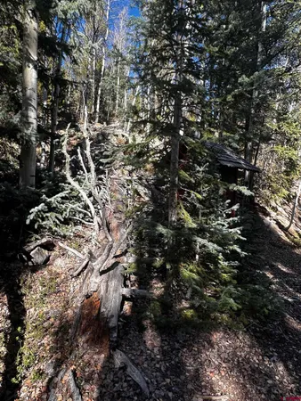 $62,500 | 70 Alamanda Lane, Pitkin, CO 81241