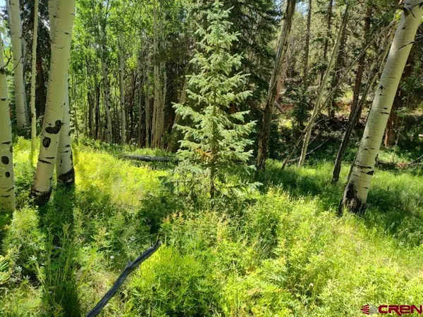 a view of a backyard with chairs