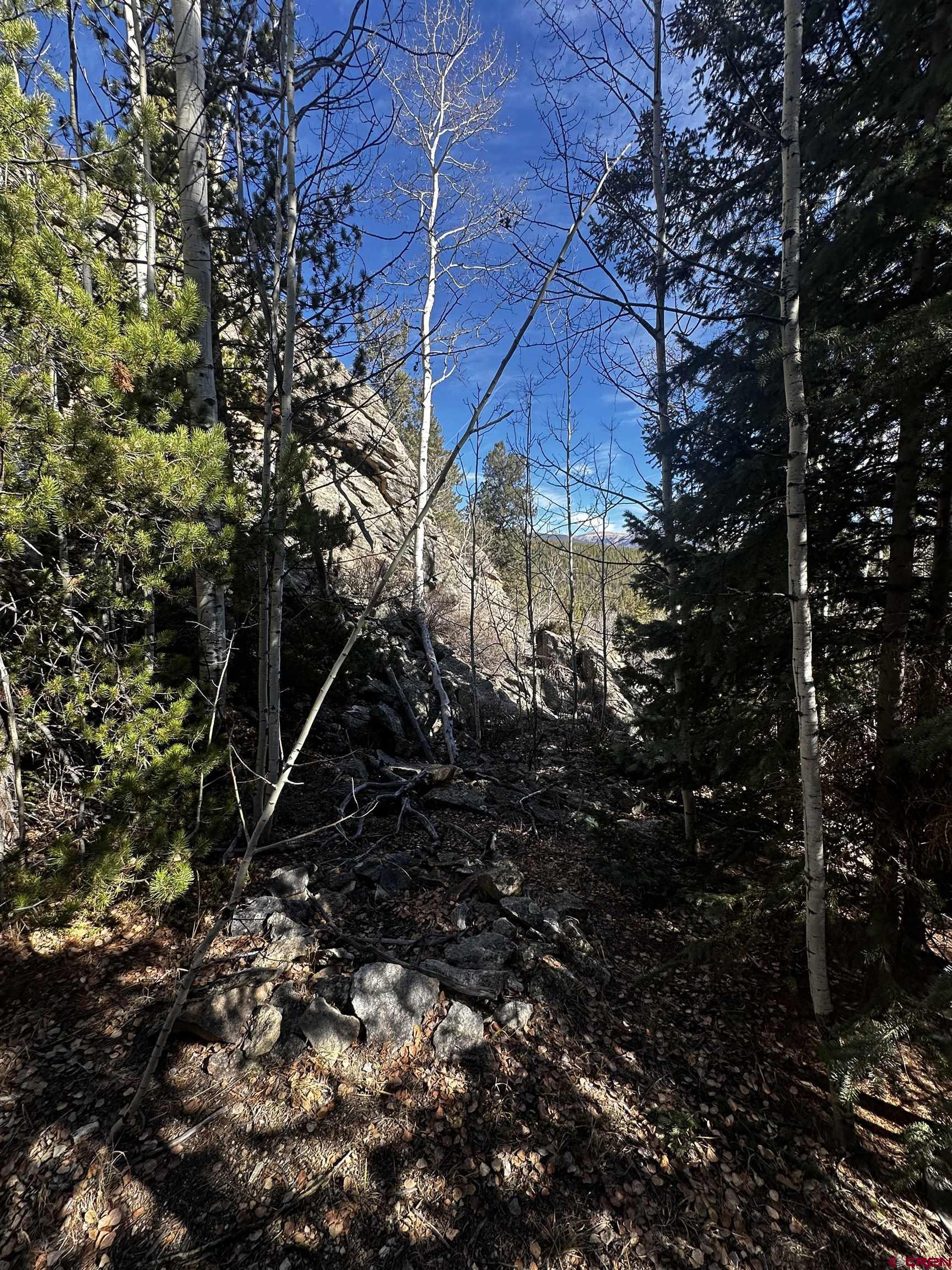 70 Alamanda Lane Pitkin, CO 81241 - Photo 23 of 28