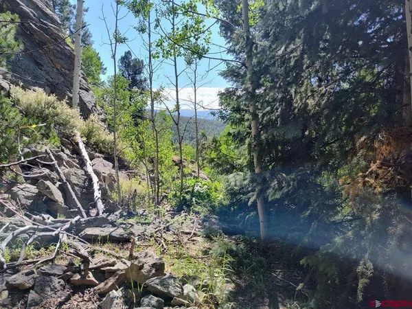 $62,500 | 70 Alamanda Lane, Pitkin, CO 81241