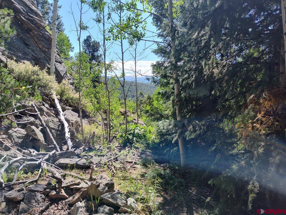 70 Alamanda Lane Pitkin, CO 81241 - Photo 24 of 28