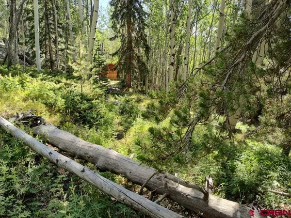$62,500 | 70 Alamanda Lane, Pitkin, CO 81241