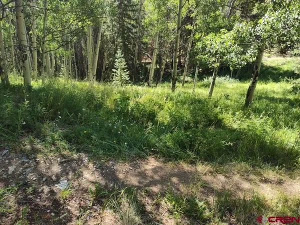 $62,500 | 70 Alamanda Lane, Pitkin, CO 81241