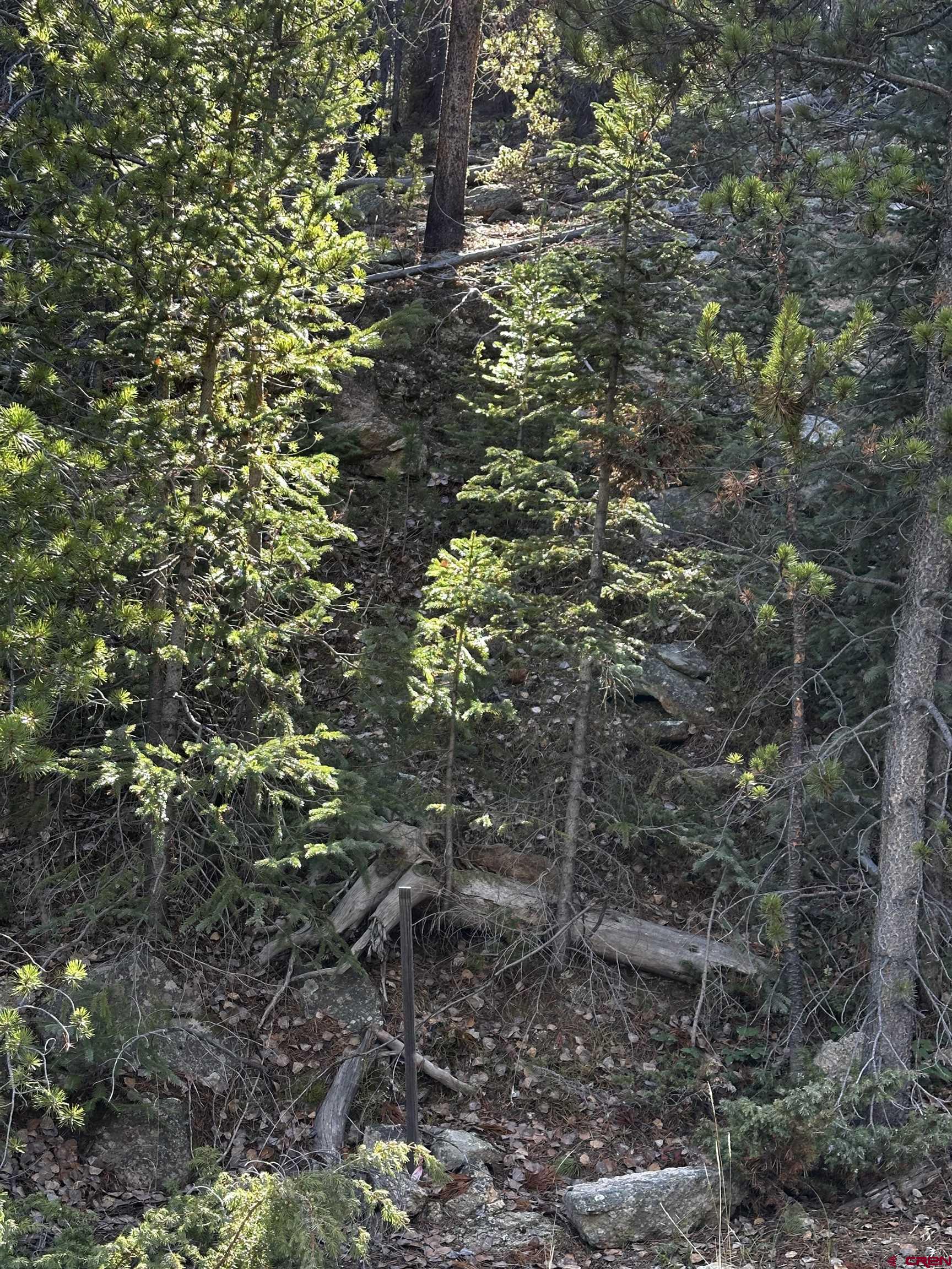 70 Alamanda Lane Pitkin, CO 81241 - Photo 28 of 28