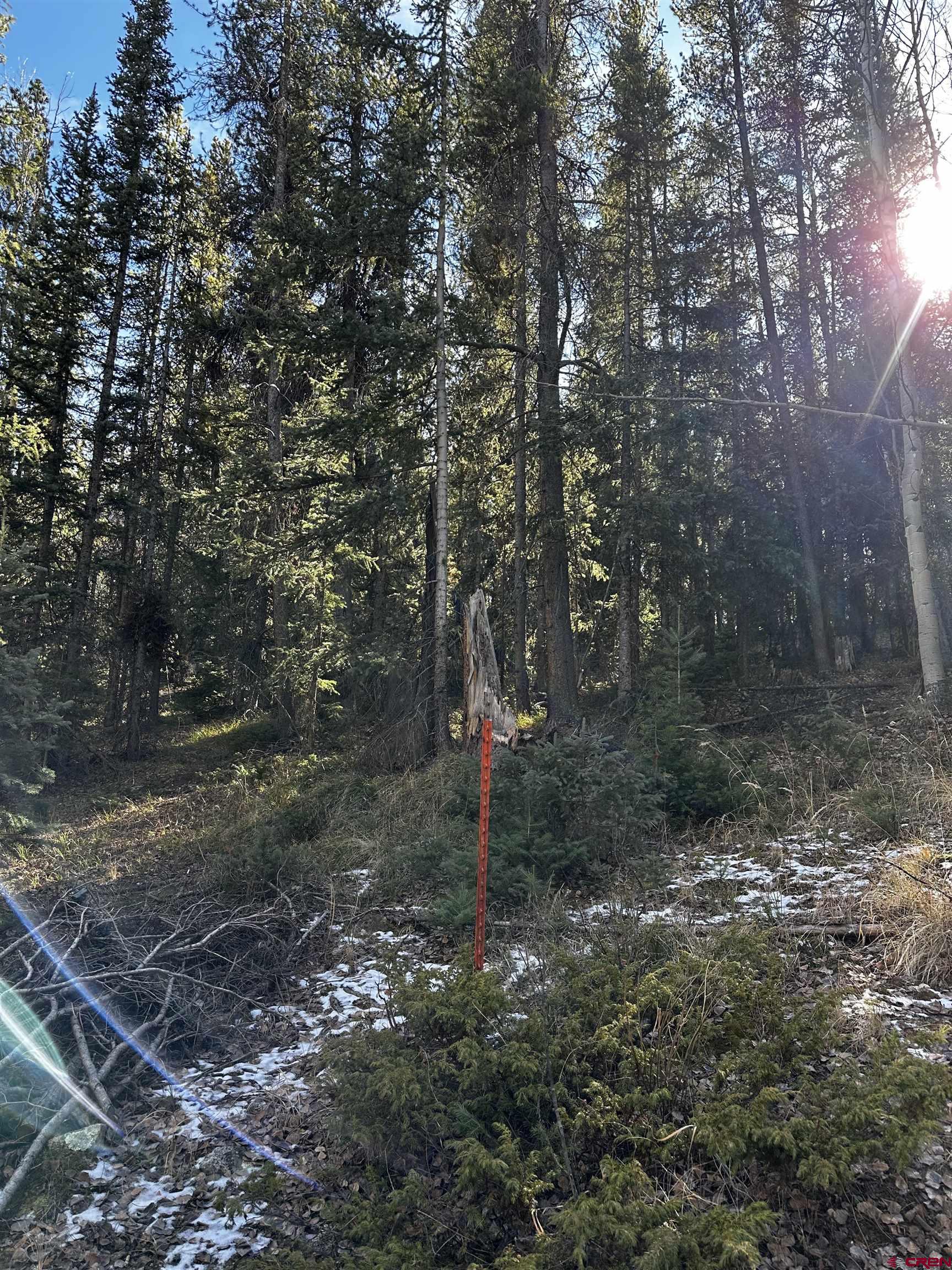 70 Alamanda Lane Pitkin, CO 81241 - Photo 3 of 28 a flag is sitting in the middle of forest