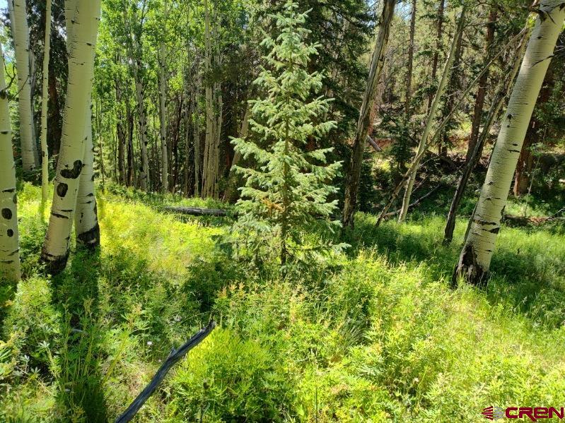 70 Alamanda Lane Pitkin, CO 81241 - Photo 5 of 28