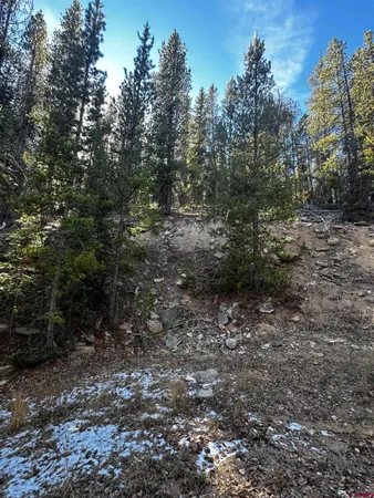 a view of a yard with of trees