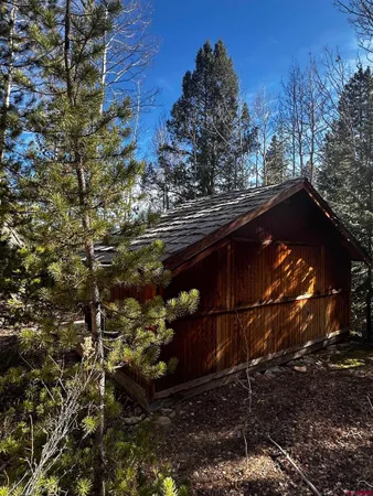 a view of a yard with plants and trees