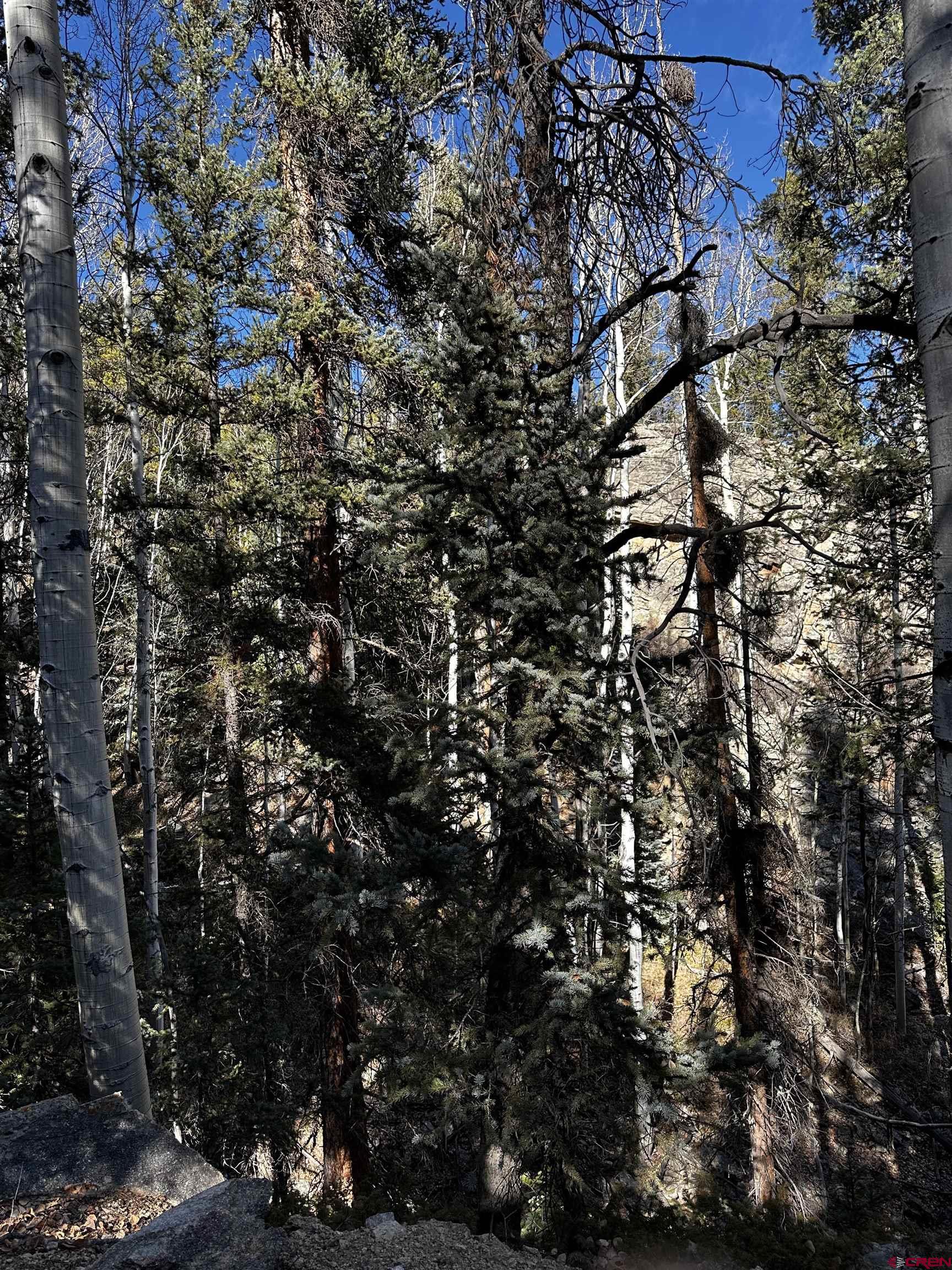 70 Alamanda Lane Pitkin, CO 81241 - Photo 8 of 28