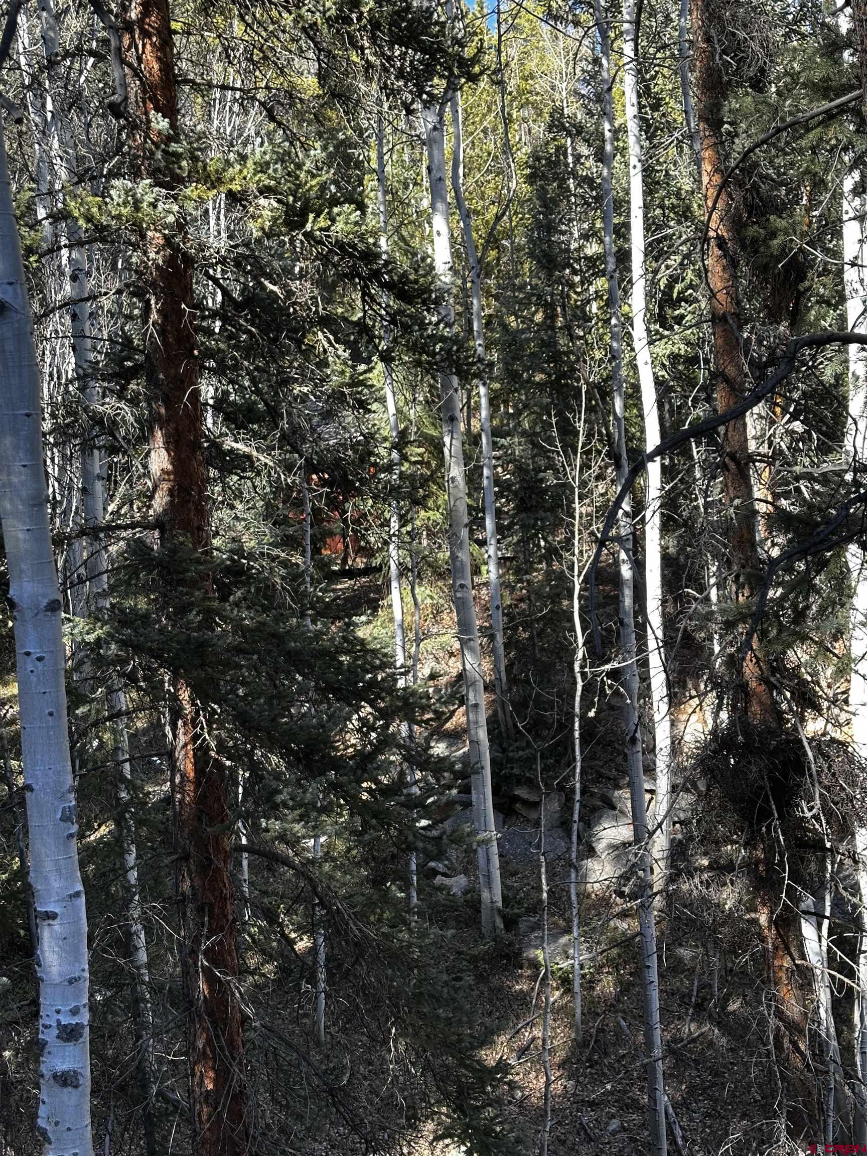 70 Alamanda Lane Pitkin, CO 81241 - Photo 9 of 28